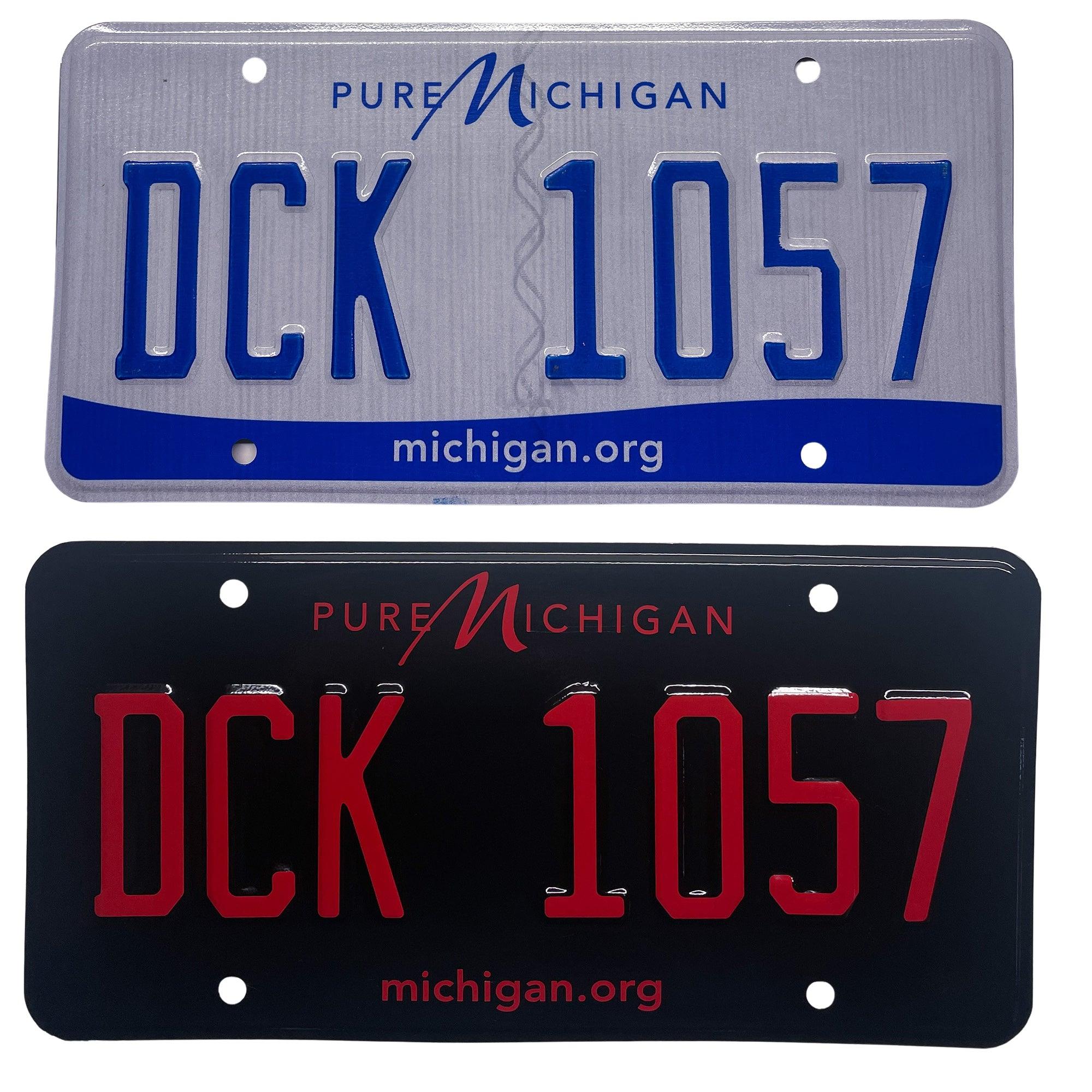 Michigan License Plate Decor Custom Michigan License Plate Key Rack: Organize Your Keys — CityLocs